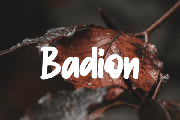 Badion: A Versatile Font for Creative Crafters and Product Makers