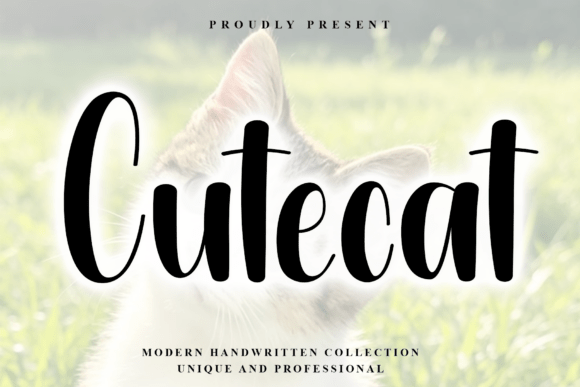 CuteCat: A Font for Thoughtful Design