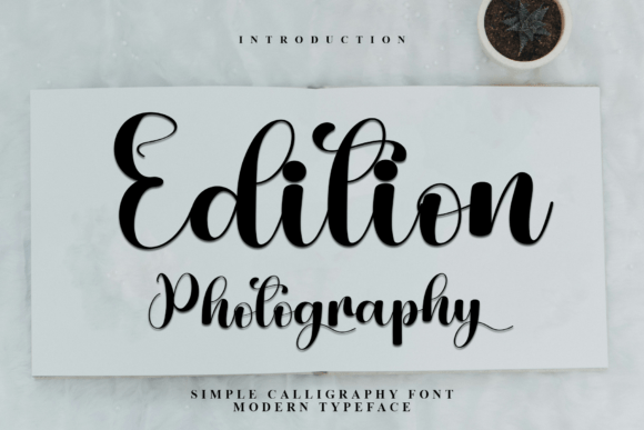 Edition Photography: A Festive Script Font for Editorial Design