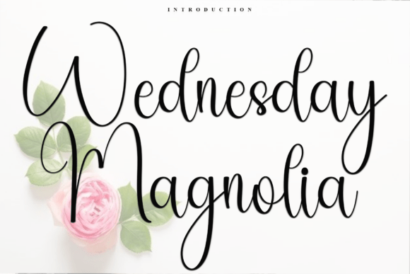 Wednesday Magnolia: A Script Font for Creative Crafters